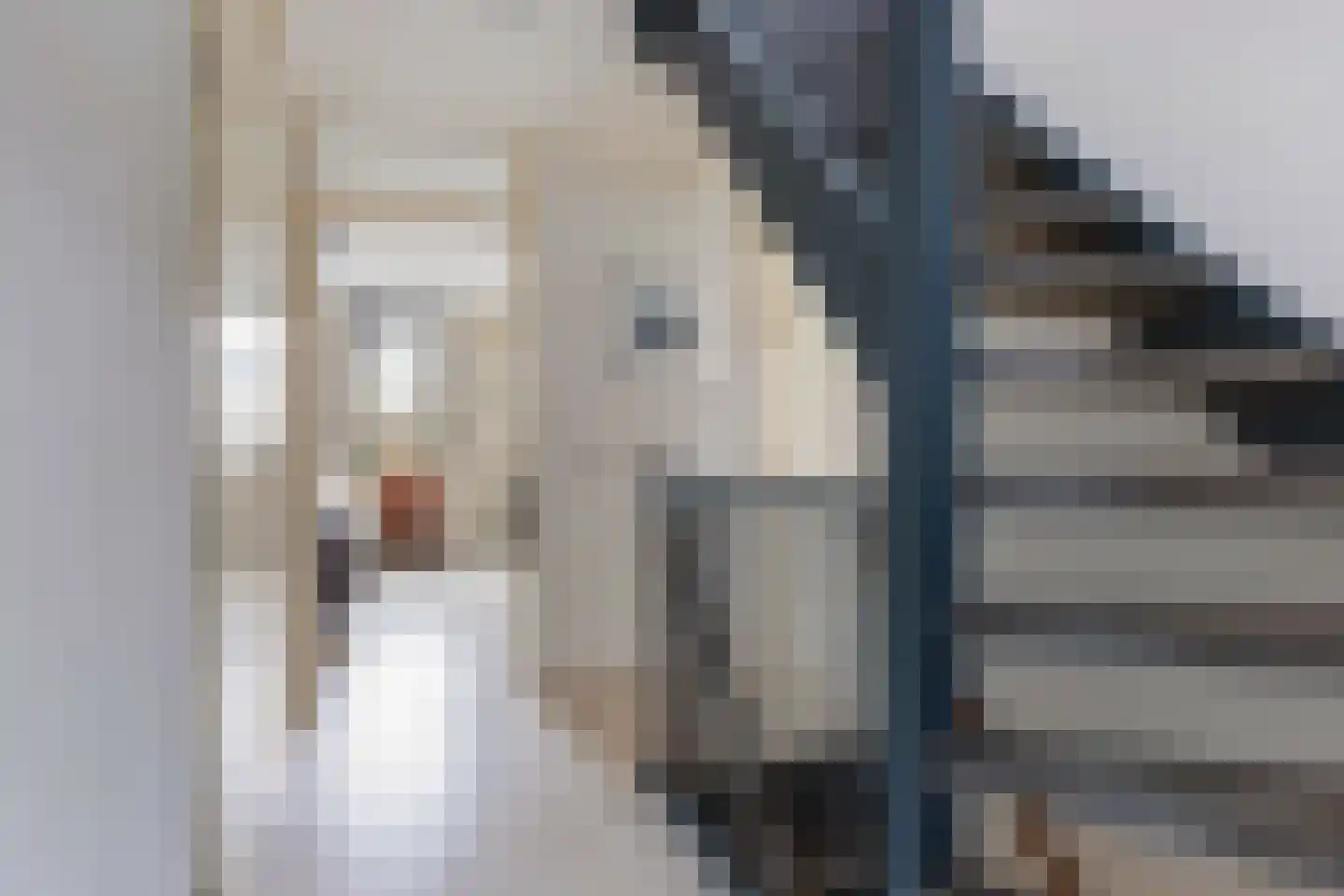 Burg Van Heugtenlaan 55 Nieuwerkerk aan den IJssel thumbnail 30