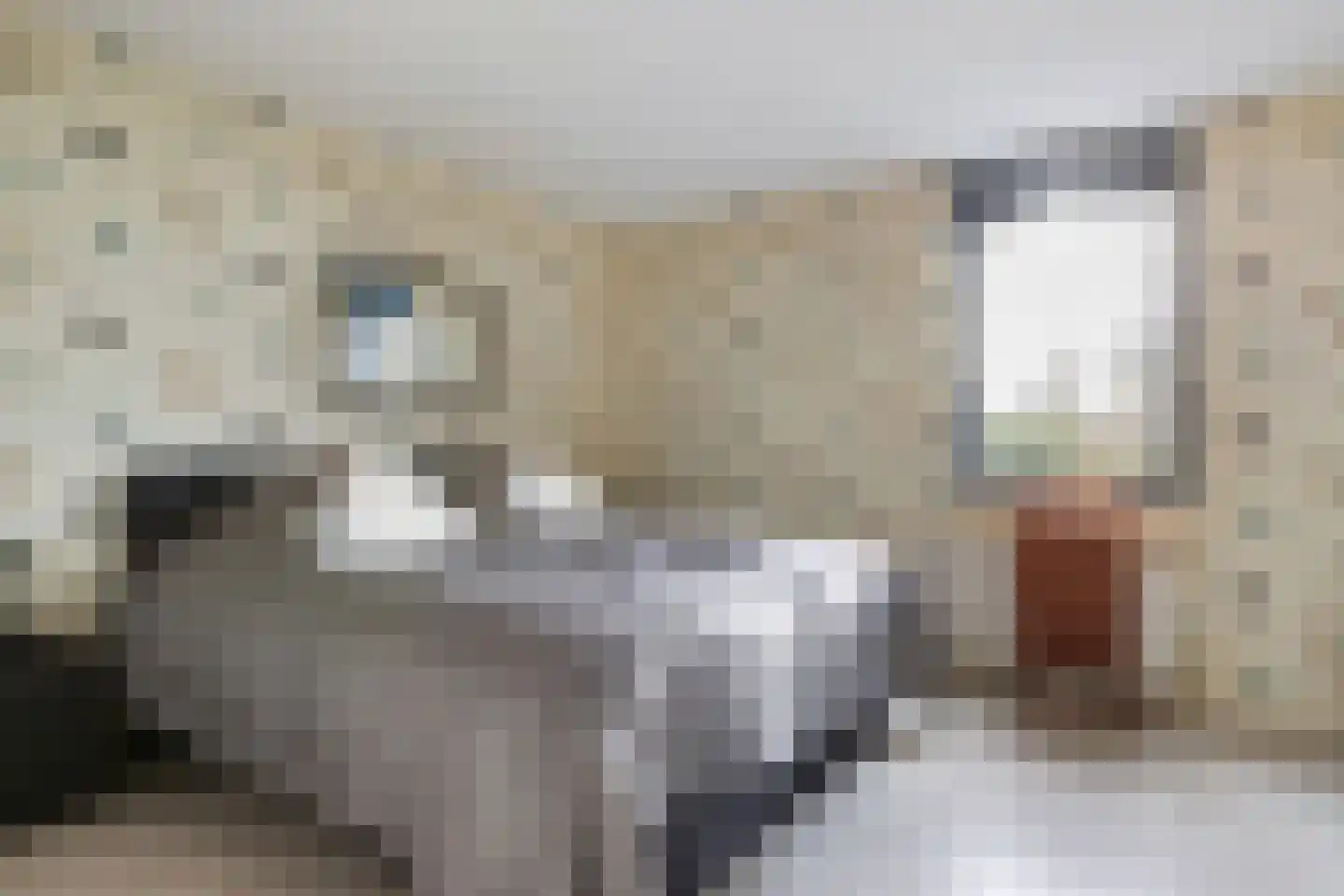 Burg Van Heugtenlaan 55 Nieuwerkerk aan den IJssel thumbnail 32