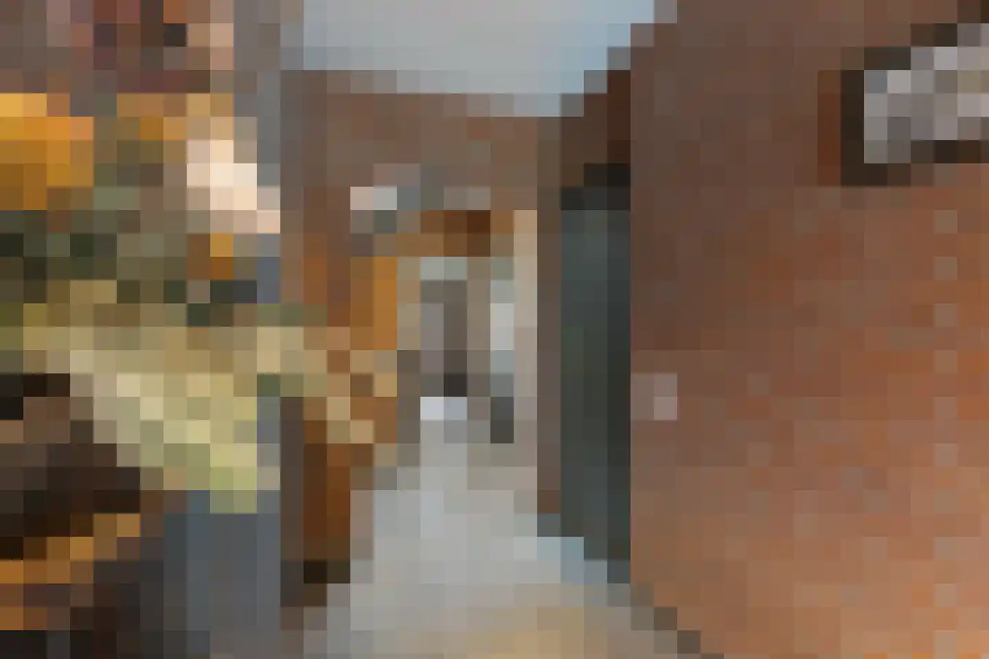 Burg. van Hinsbergstraat 2 Obbicht thumbnail 13