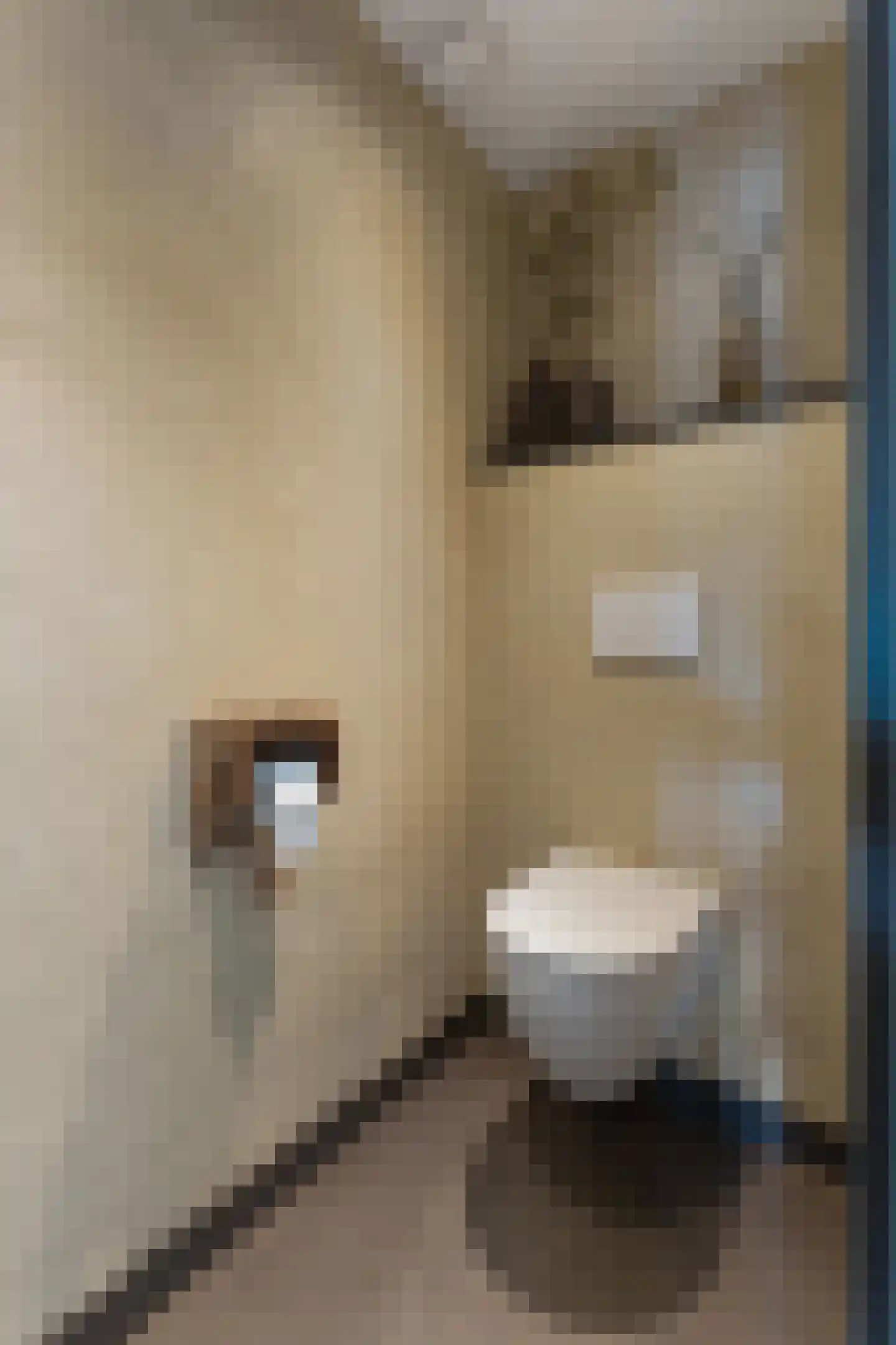Burg. van Hinsbergstraat 2 Obbicht thumbnail 23