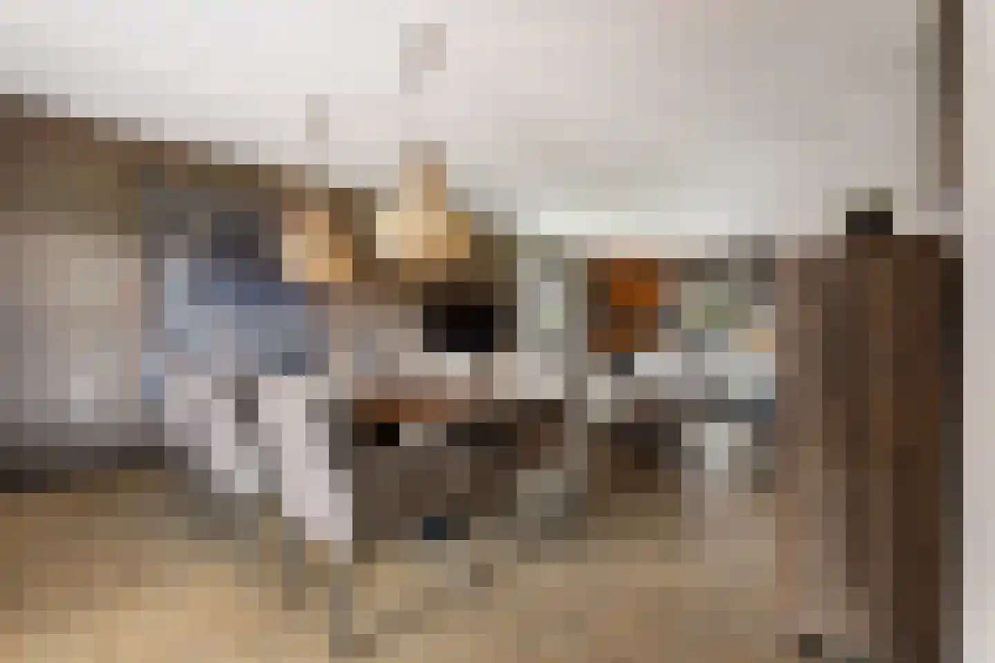Burg. van Hinsbergstraat 2 Obbicht thumbnail 28
