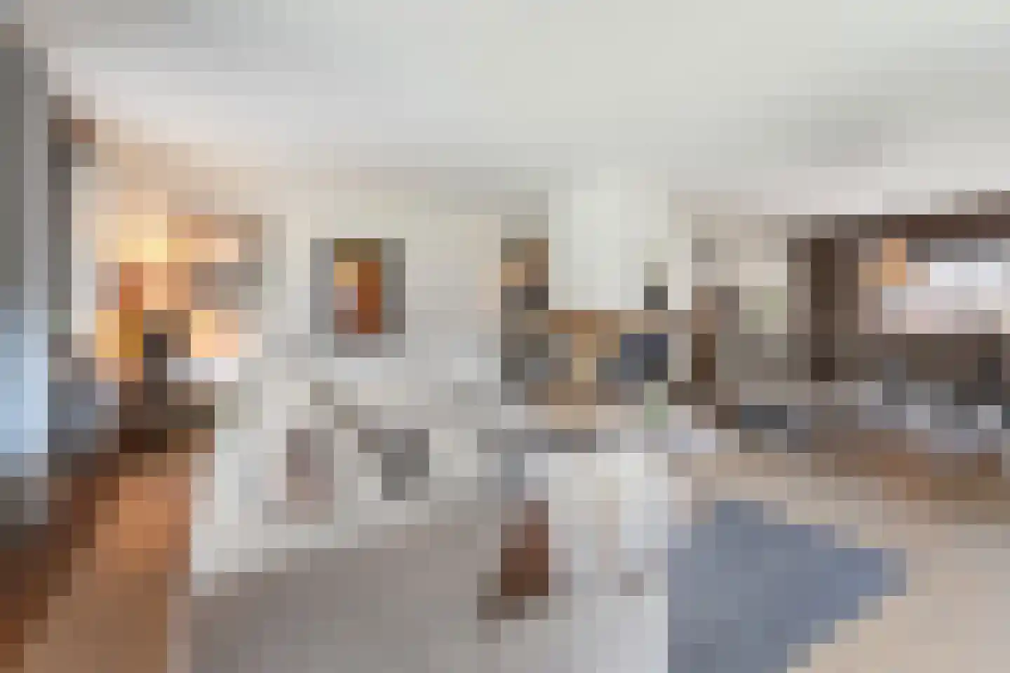Burg. van Hinsbergstraat 2 Obbicht thumbnail 33