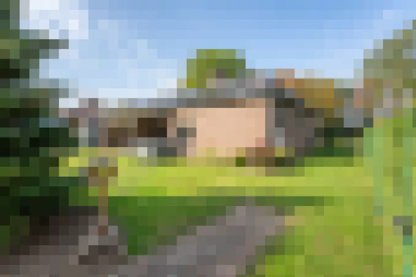 Burg. van Hinsbergstraat 2 Obbicht thumbnail 38
