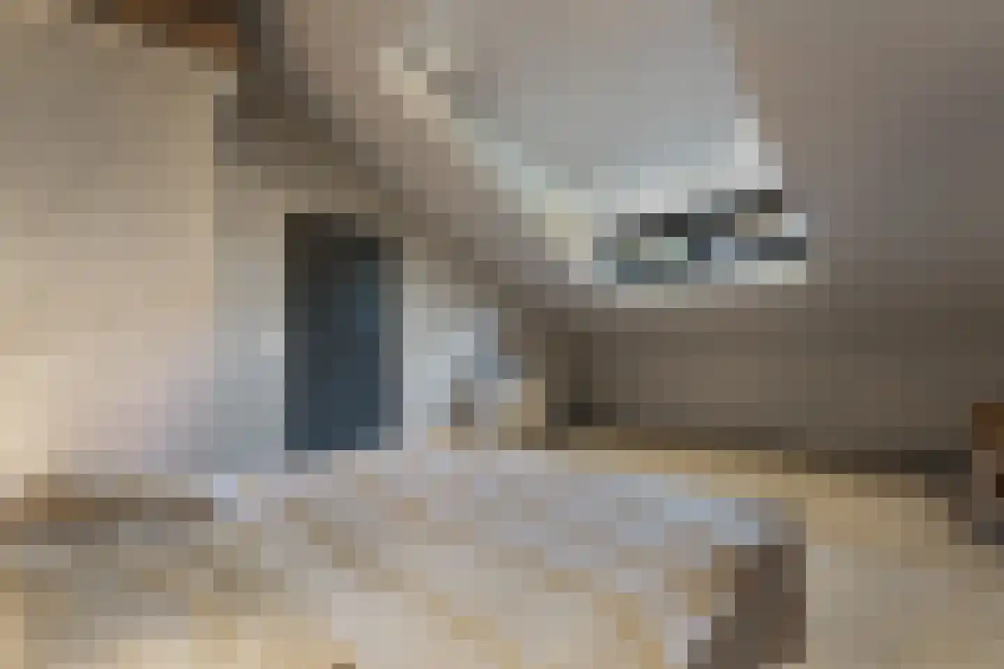 Burg. van Hinsbergstraat 2 Obbicht thumbnail 50