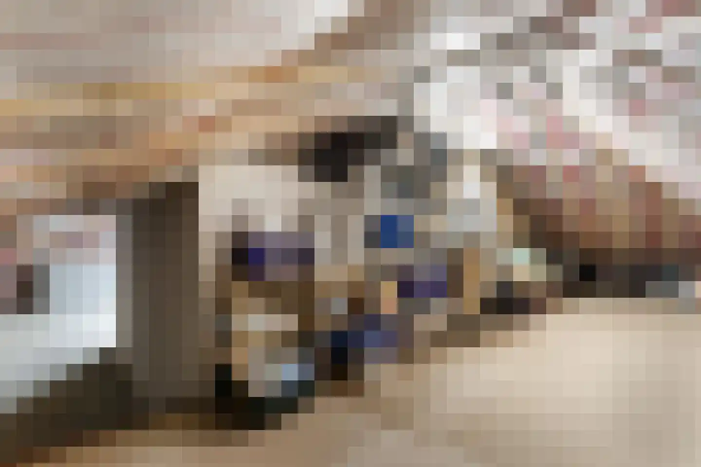 Burg. van Hinsbergstraat 2 Obbicht thumbnail 53