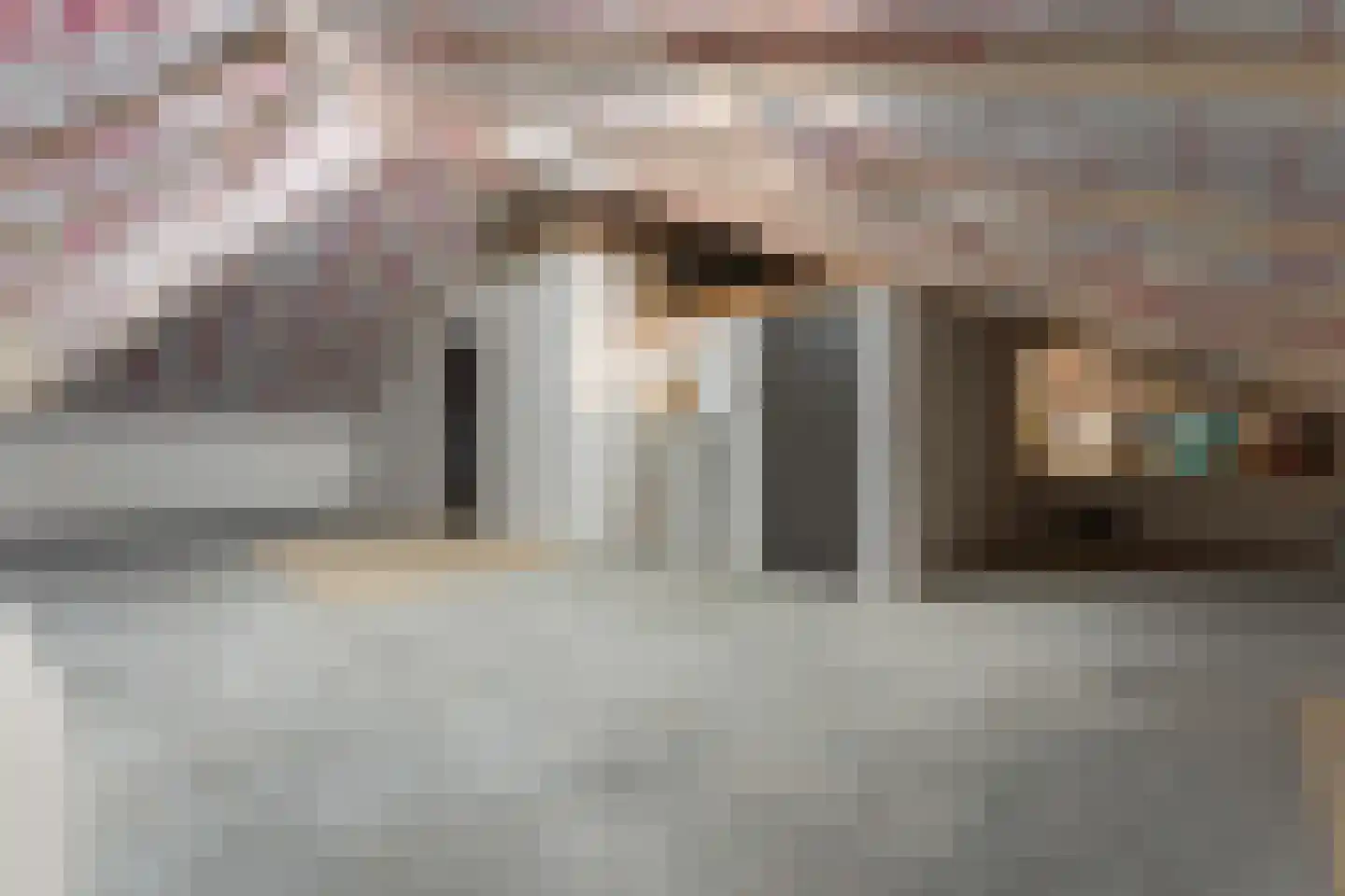 Burg. van Hinsbergstraat 2 Obbicht thumbnail 54