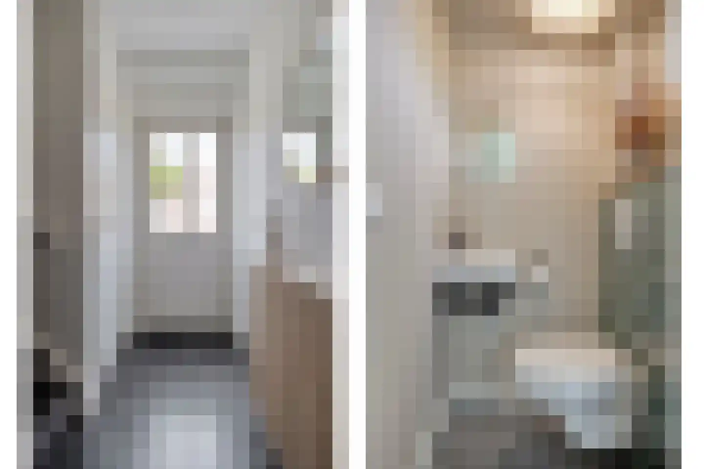 Burg.van Höevellstraat 12 Nieuwleusen thumbnail 13
