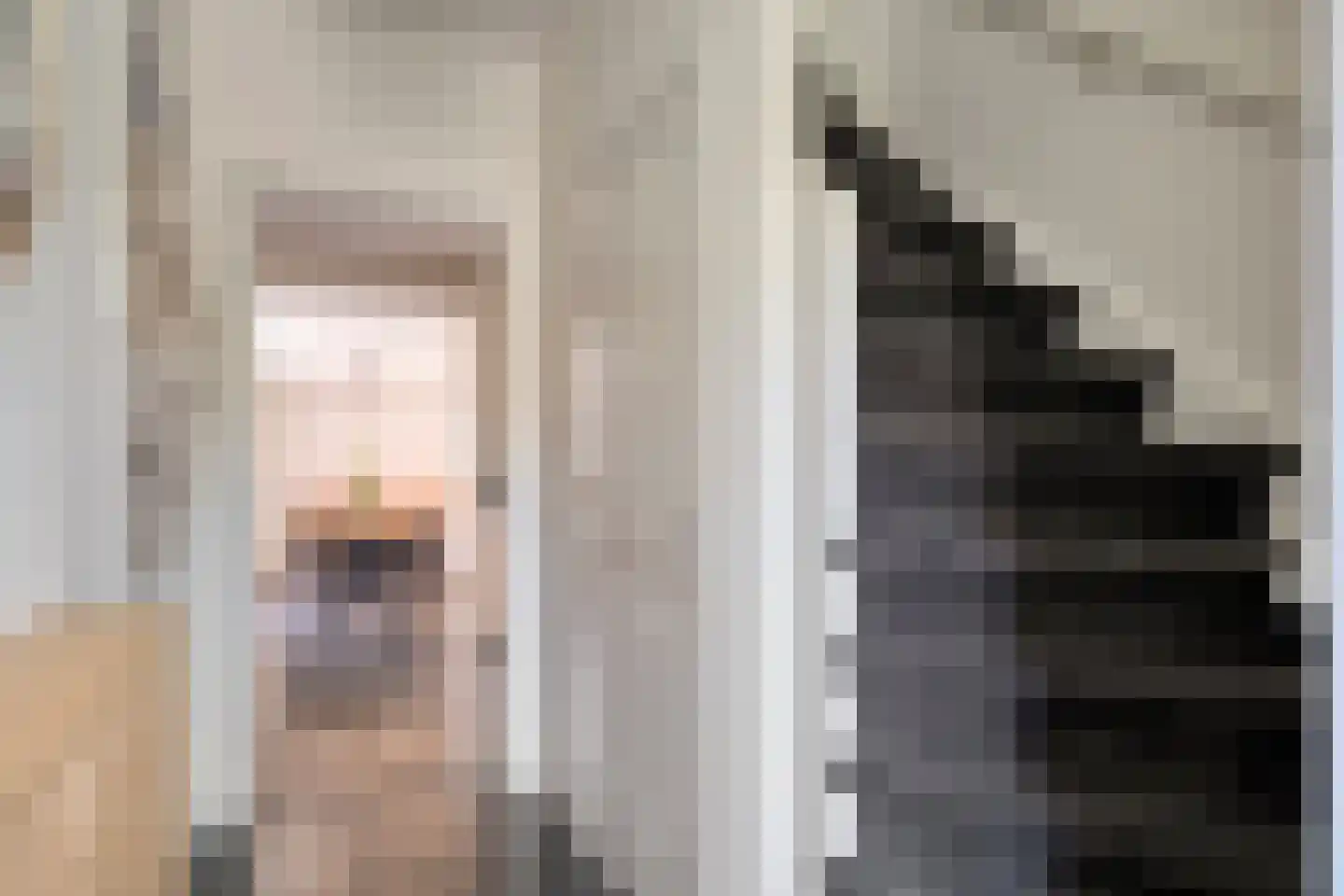Burg.van Höevellstraat 12 Nieuwleusen thumbnail 14