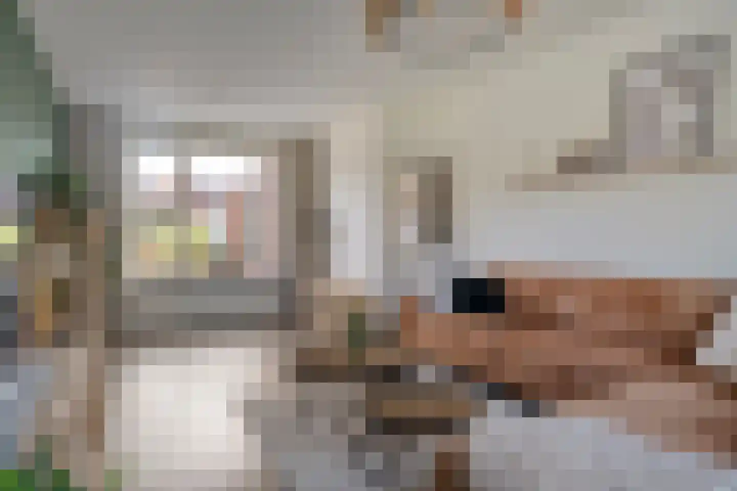 Burg.van Höevellstraat 12 Nieuwleusen thumbnail 16