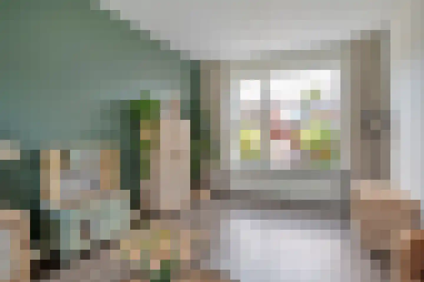 Burg.van Höevellstraat 12 Nieuwleusen thumbnail 17