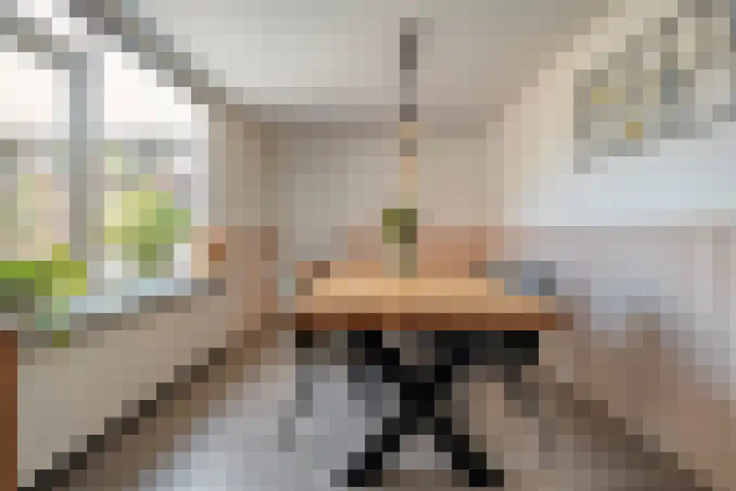 Burg.van Höevellstraat 12 Nieuwleusen thumbnail 21