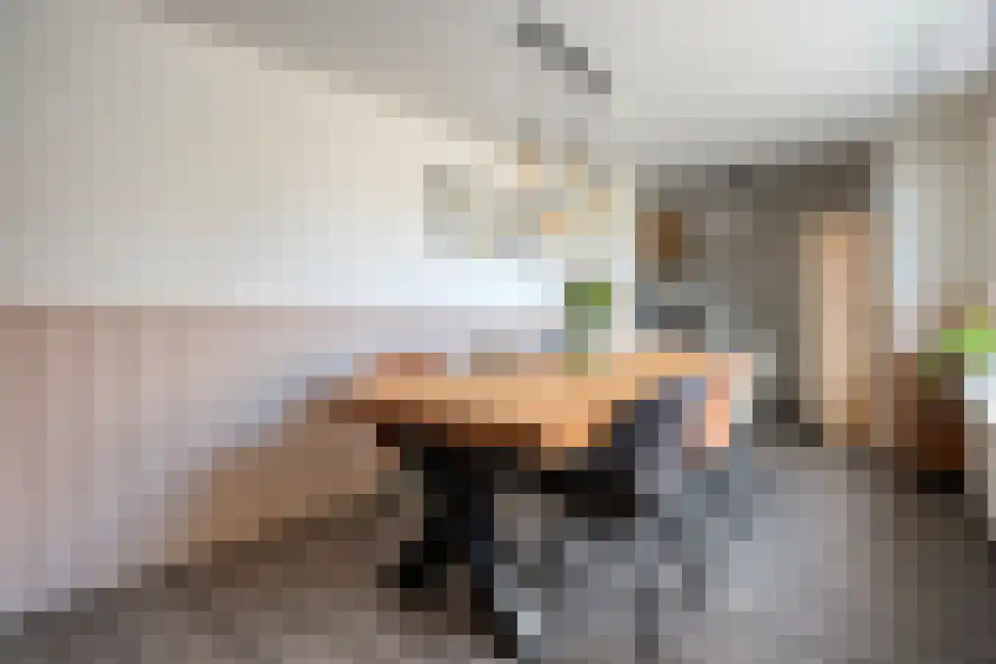 Burg.van Höevellstraat 12 Nieuwleusen thumbnail 22