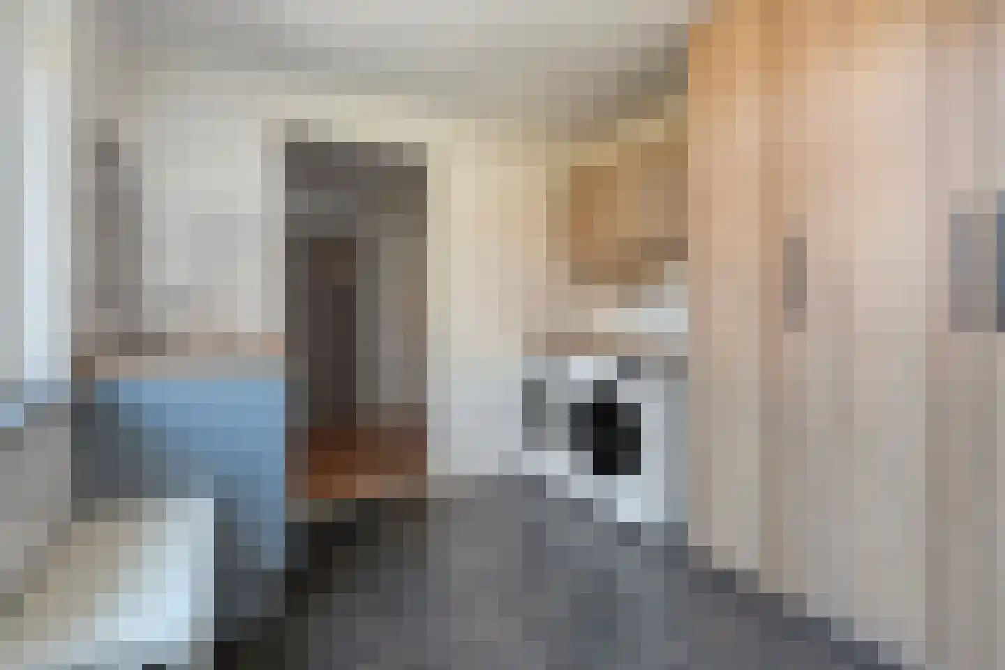 Burg.van Höevellstraat 12 Nieuwleusen thumbnail 24