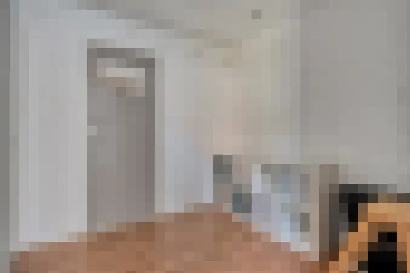 Burg.van Höevellstraat 12 Nieuwleusen thumbnail 26