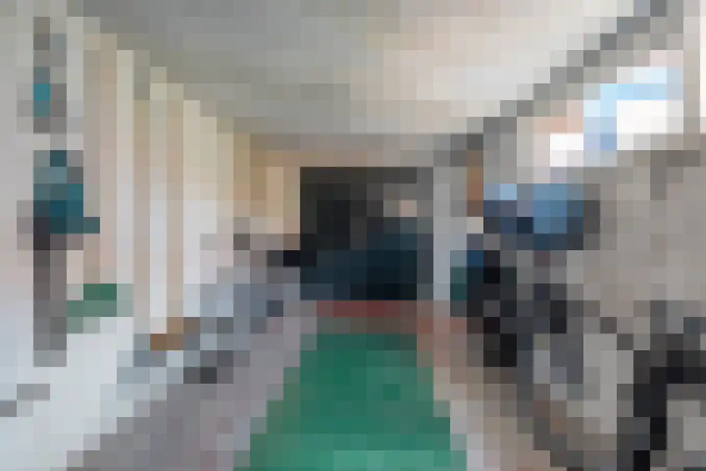 Burg.van Höevellstraat 12 Nieuwleusen thumbnail 29