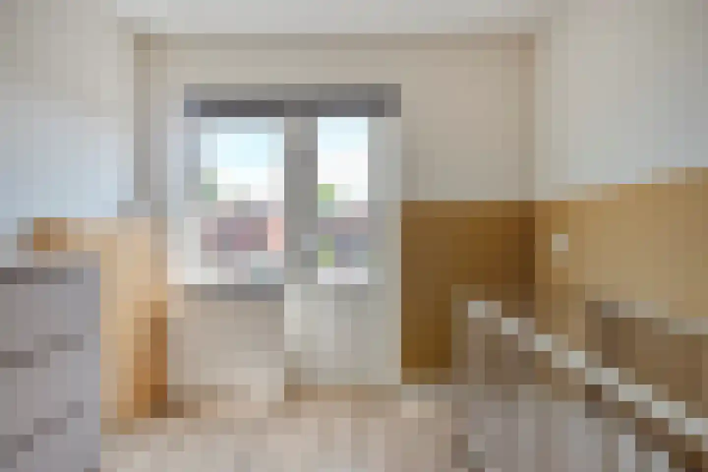 Burg.van Höevellstraat 12 Nieuwleusen thumbnail 33