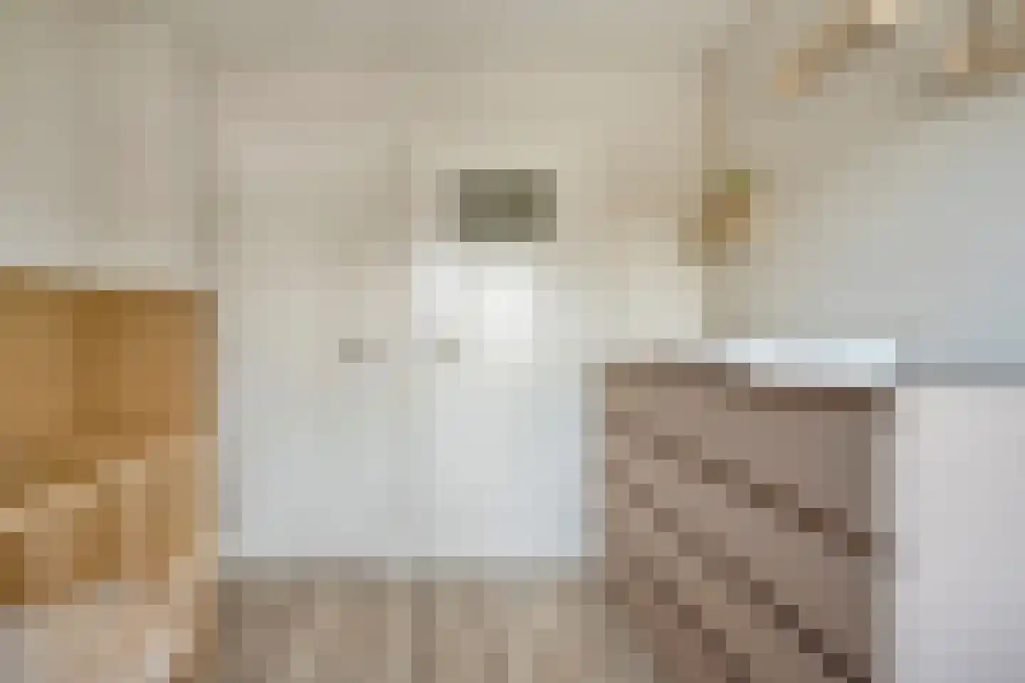 Burg.van Höevellstraat 12 Nieuwleusen thumbnail 34