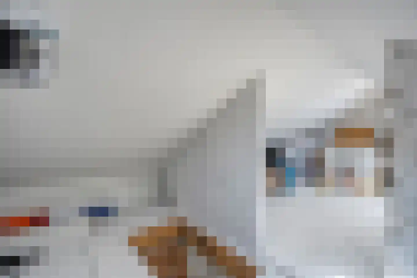 Burg.van Höevellstraat 12 Nieuwleusen thumbnail 40