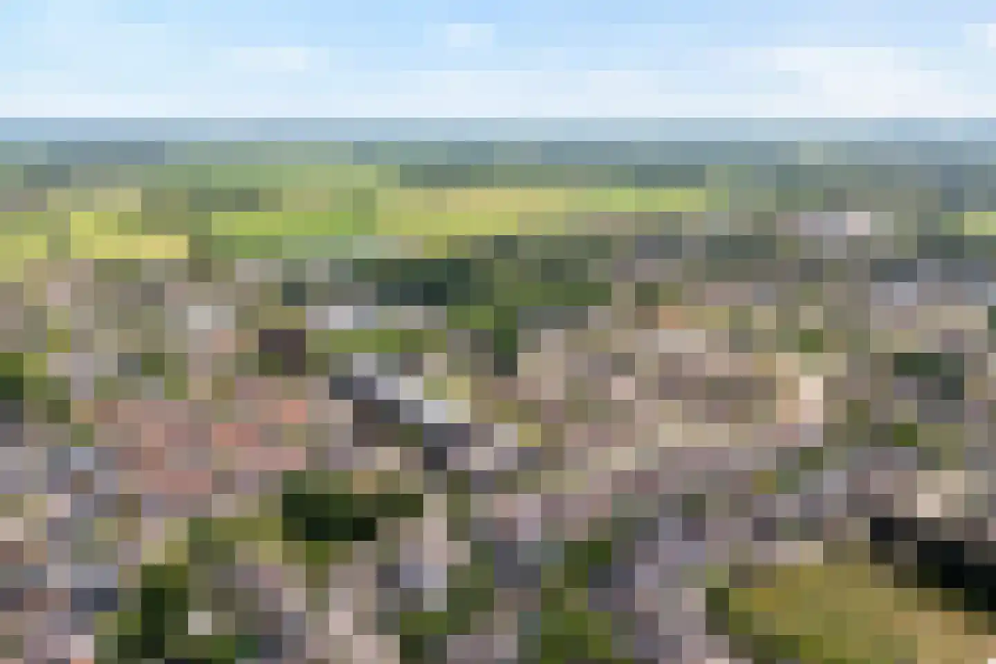 Burg.van Höevellstraat 12 Nieuwleusen thumbnail 8
