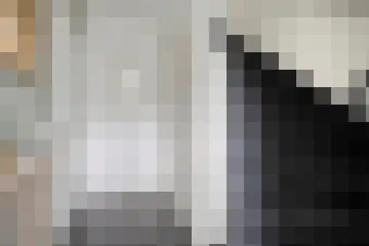Burg.van Höevellstraat 6 Nieuwleusen thumbnail 10