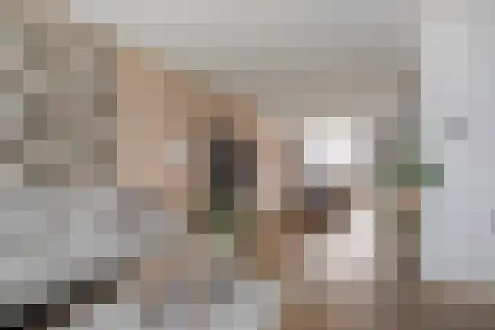 Burg.van Höevellstraat 6 Nieuwleusen thumbnail 12