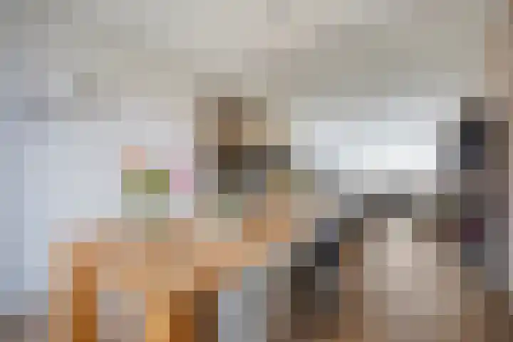 Burg.van Höevellstraat 6 Nieuwleusen thumbnail 17