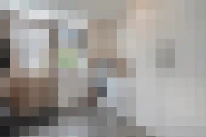 Burg.van Höevellstraat 6 Nieuwleusen thumbnail 19