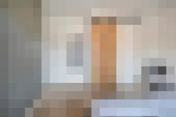 Burg.van Höevellstraat 6 Nieuwleusen thumbnail 21