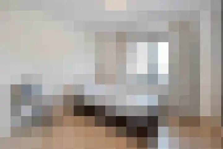 Burg.van Höevellstraat 6 Nieuwleusen thumbnail 22