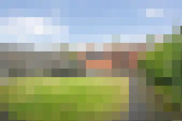 Burg.van Höevellstraat 6 Nieuwleusen thumbnail 24