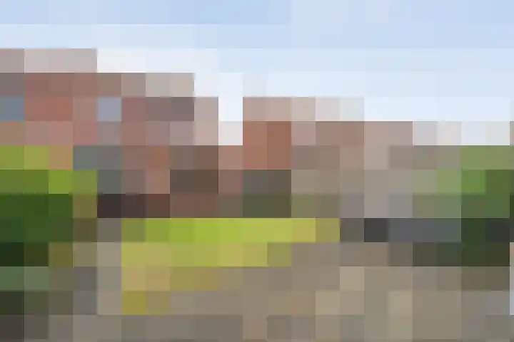 Burg.van Höevellstraat 6 Nieuwleusen thumbnail 25