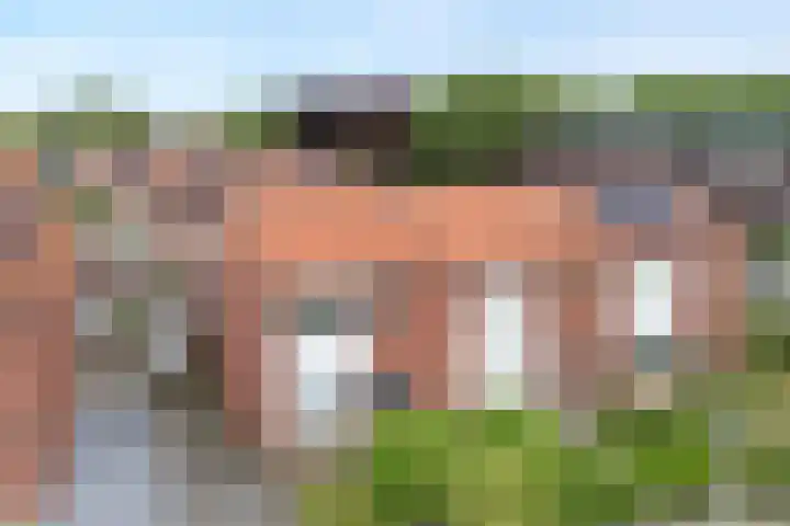 Burg.van Höevellstraat 6 Nieuwleusen thumbnail 4