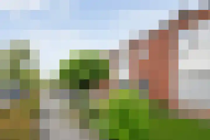 Burg.van Höevellstraat 6 Nieuwleusen thumbnail 6