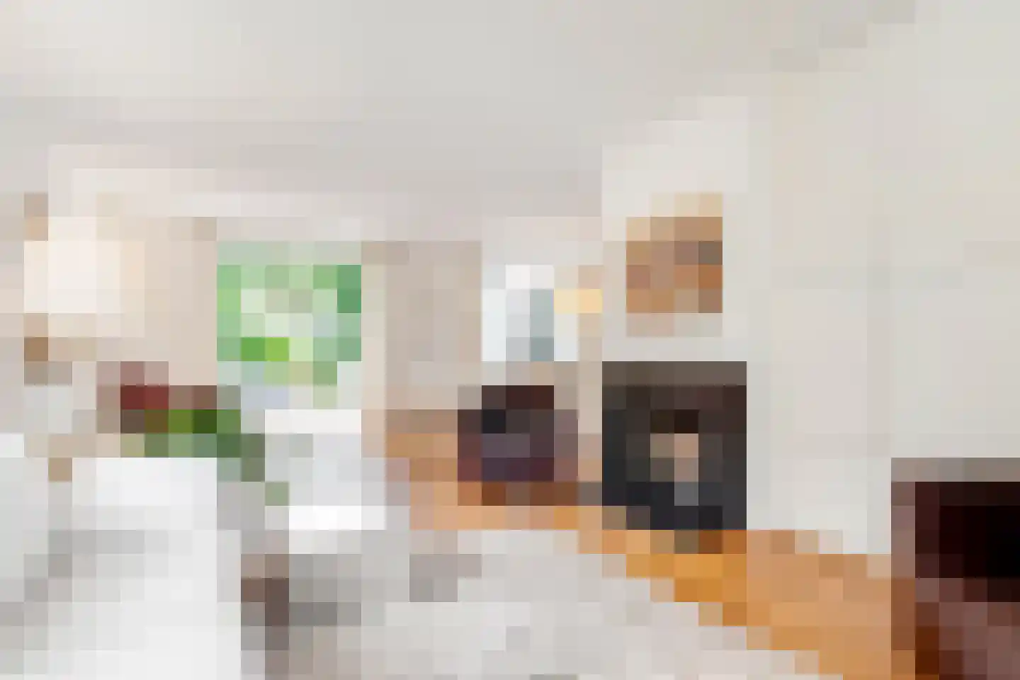 Burg. Van Holthelaan 1 Zeist thumbnail 10