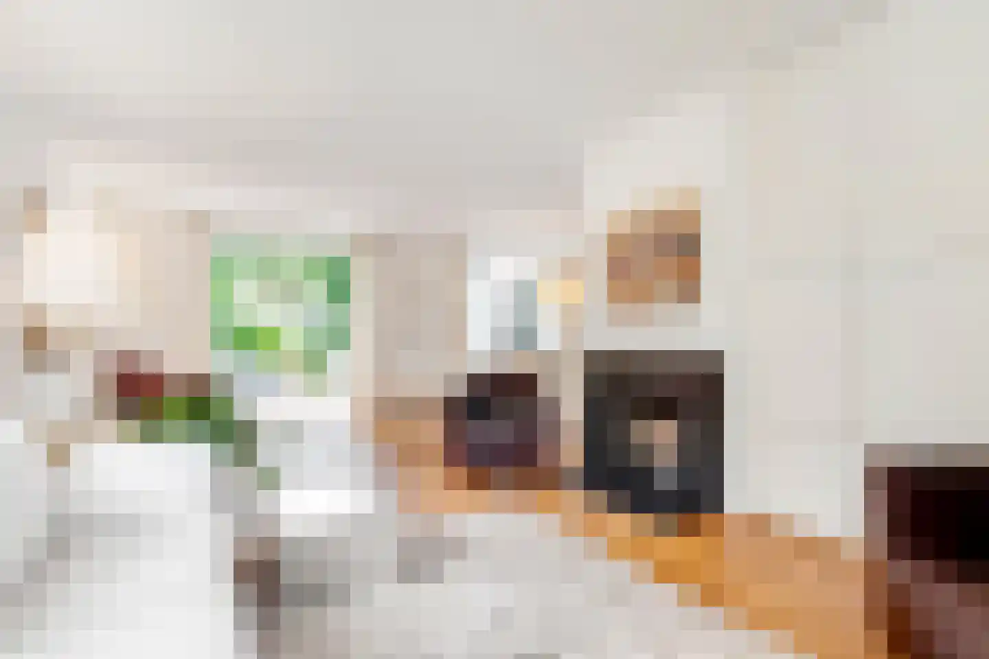 Burg. Van Holthelaan 1 Zeist thumbnail 10