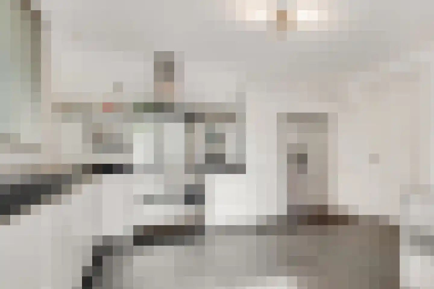 Burg. Van Holthelaan 1 Zeist thumbnail 13