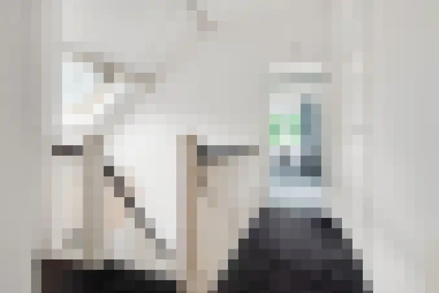 Burg. Van Holthelaan 1 Zeist thumbnail 18