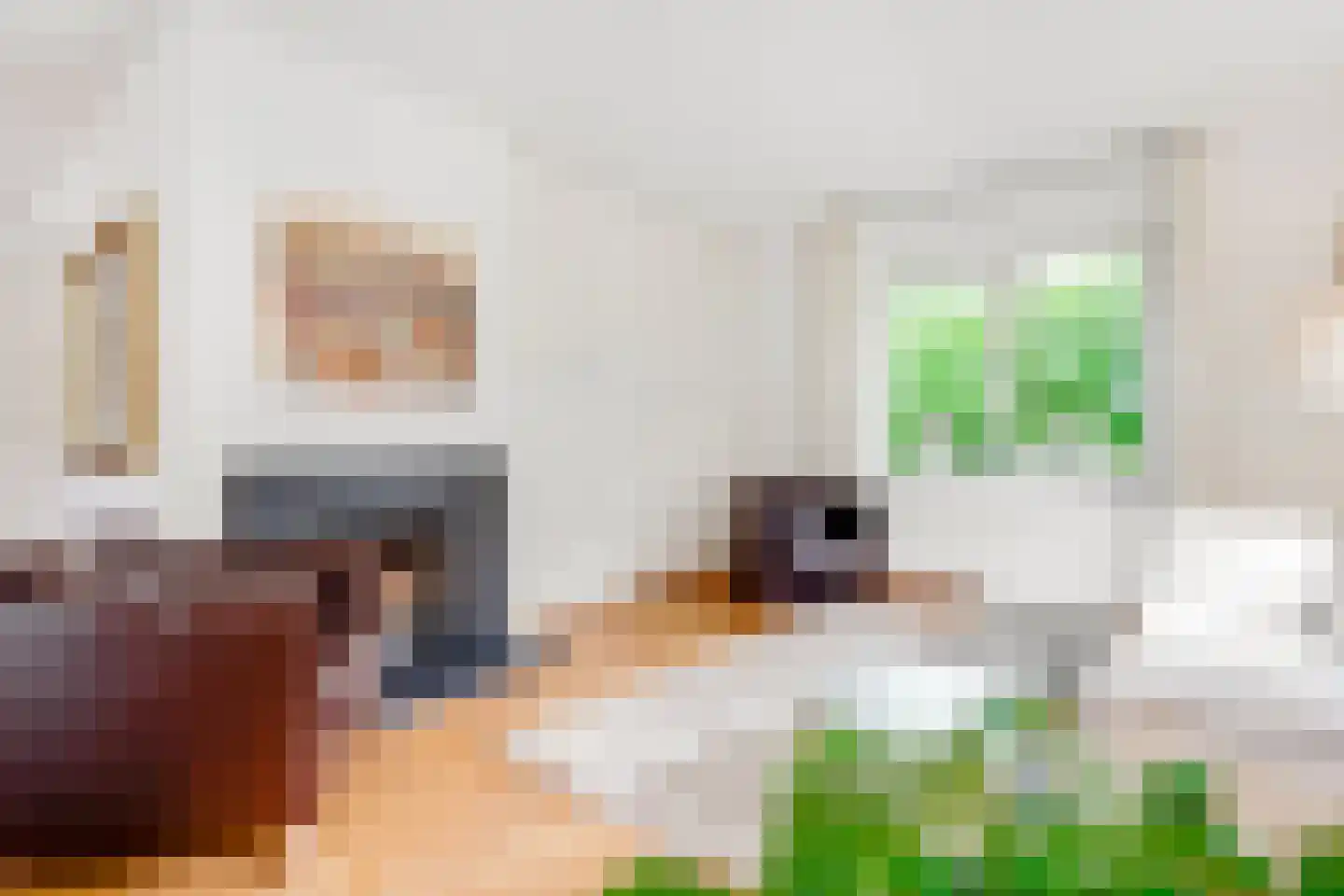 Burg. Van Holthelaan 1 Zeist thumbnail 19
