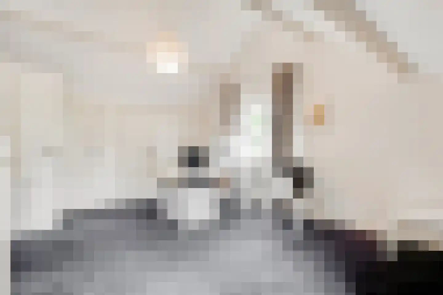 Burg. Van Holthelaan 1 Zeist thumbnail 23