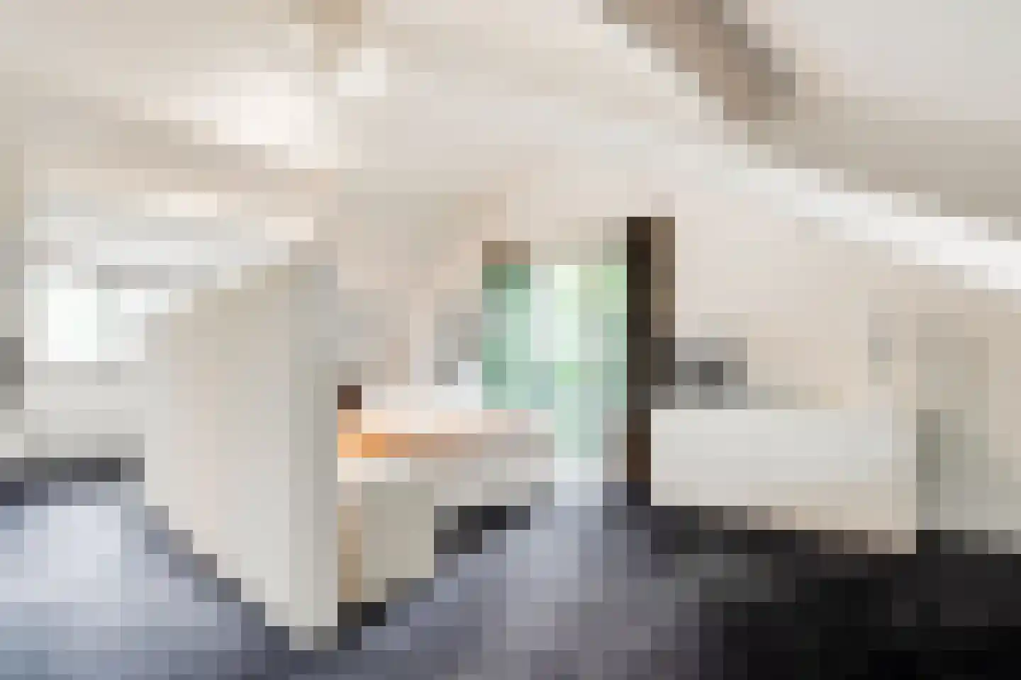 Burg. Van Holthelaan 1 Zeist thumbnail 24