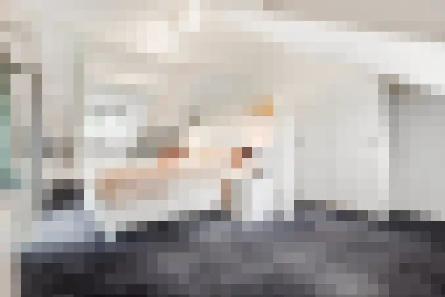 Burg. Van Holthelaan 1 Zeist thumbnail 25