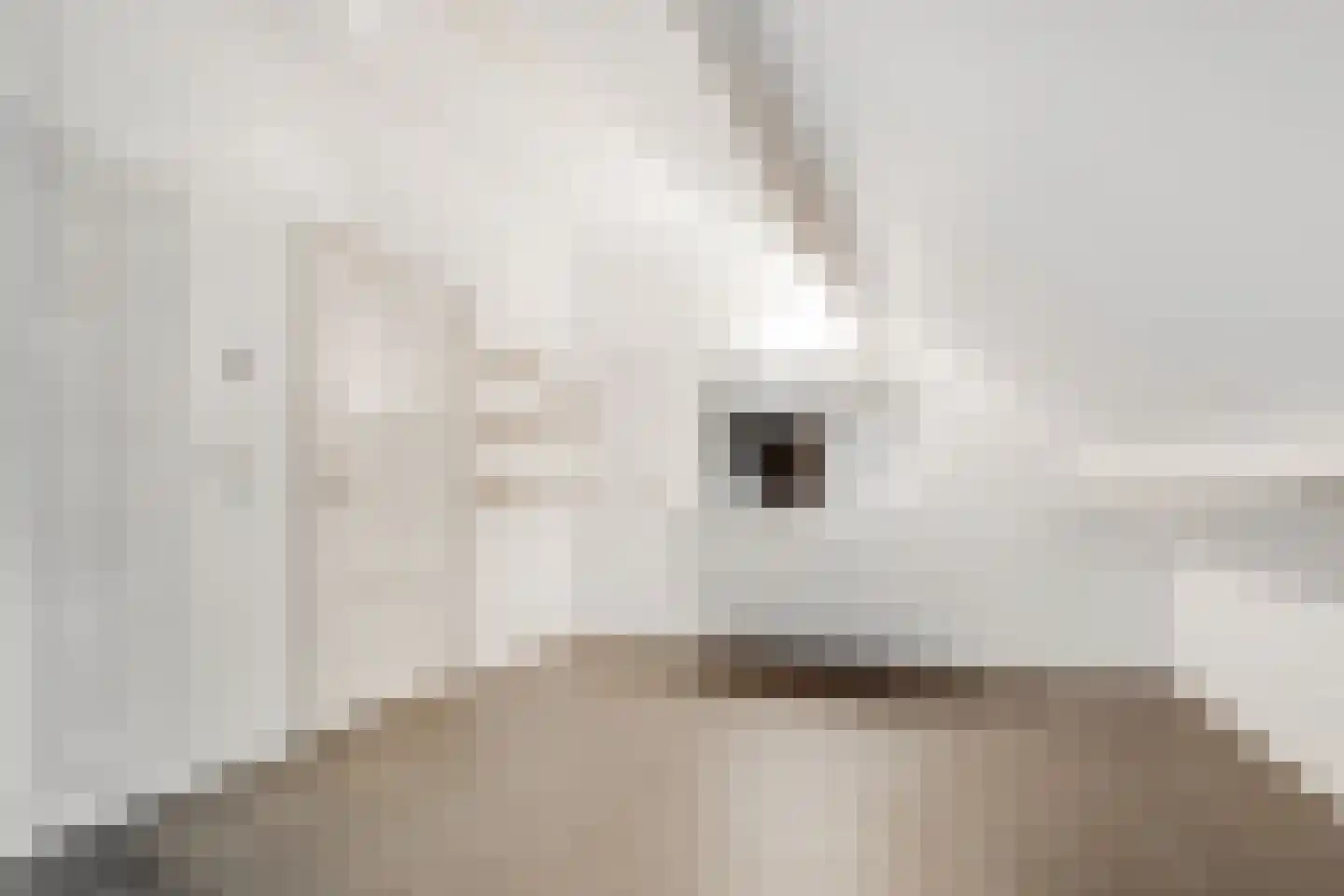 Burg. Van Holthelaan 1 Zeist thumbnail 26