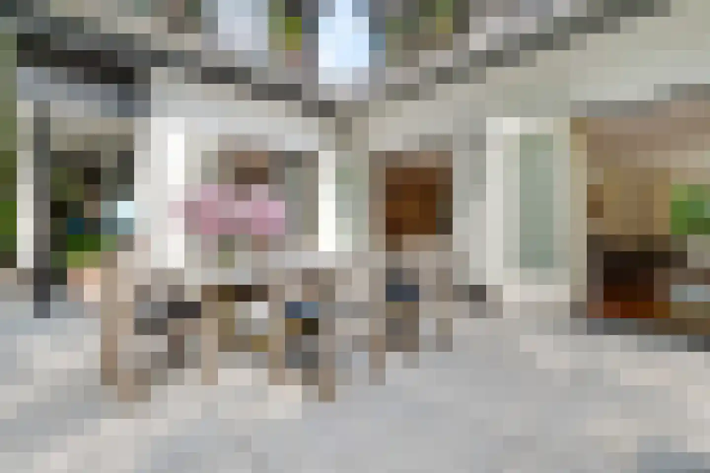 Burg. Van Holthelaan 1 Zeist thumbnail 31