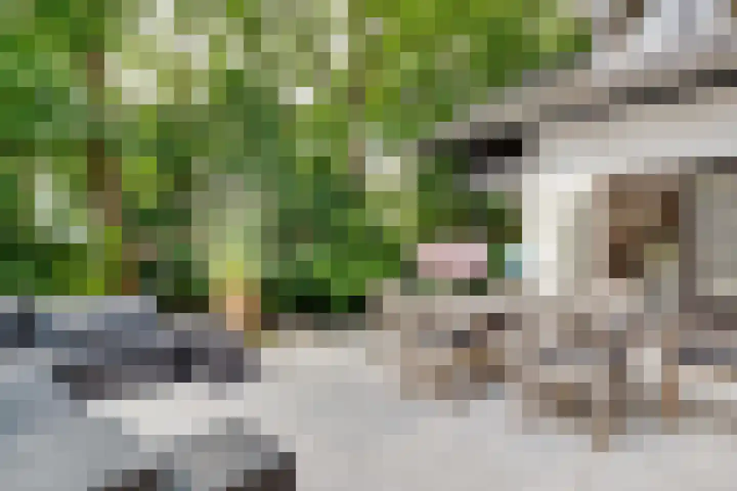 Burg. Van Holthelaan 1 Zeist thumbnail 33