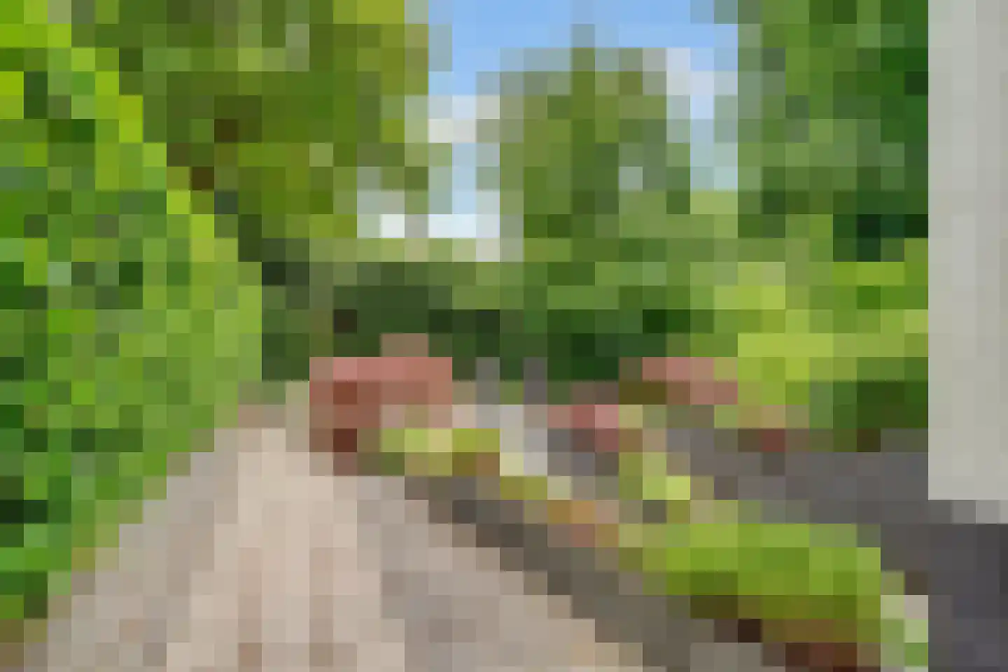 Burg. Van Holthelaan 1 Zeist thumbnail 34