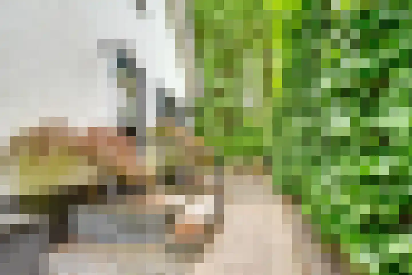 Burg. Van Holthelaan 1 Zeist thumbnail 35