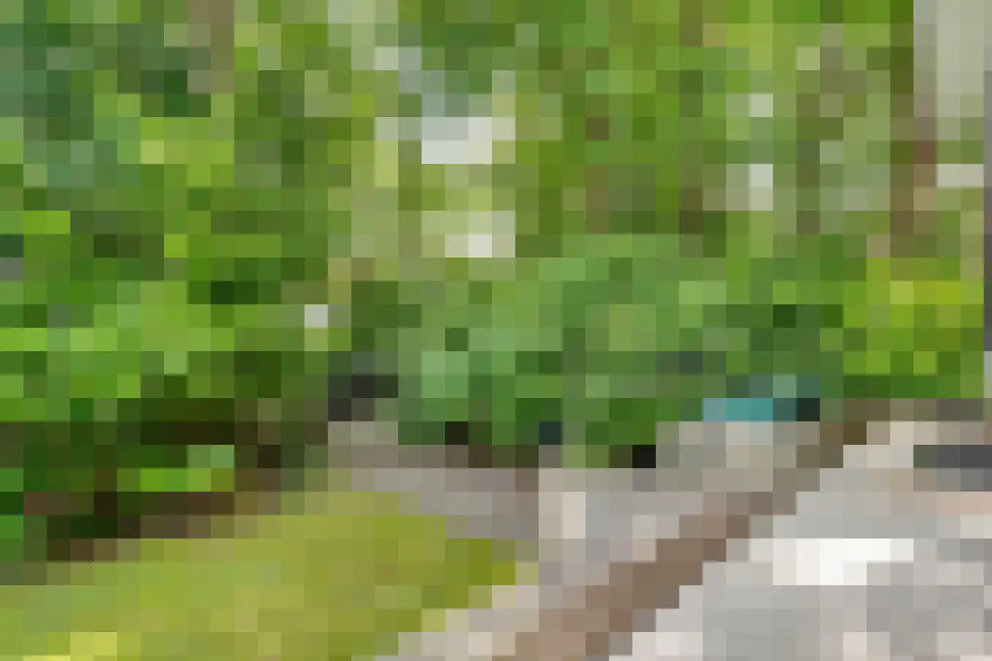 Burg. Van Holthelaan 1 Zeist thumbnail 38