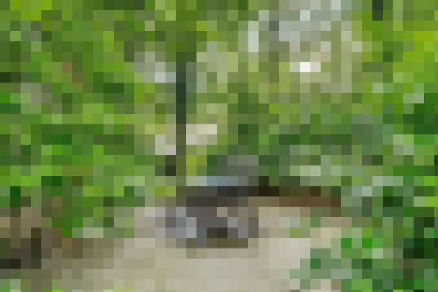Burg. Van Holthelaan 1 Zeist thumbnail 39