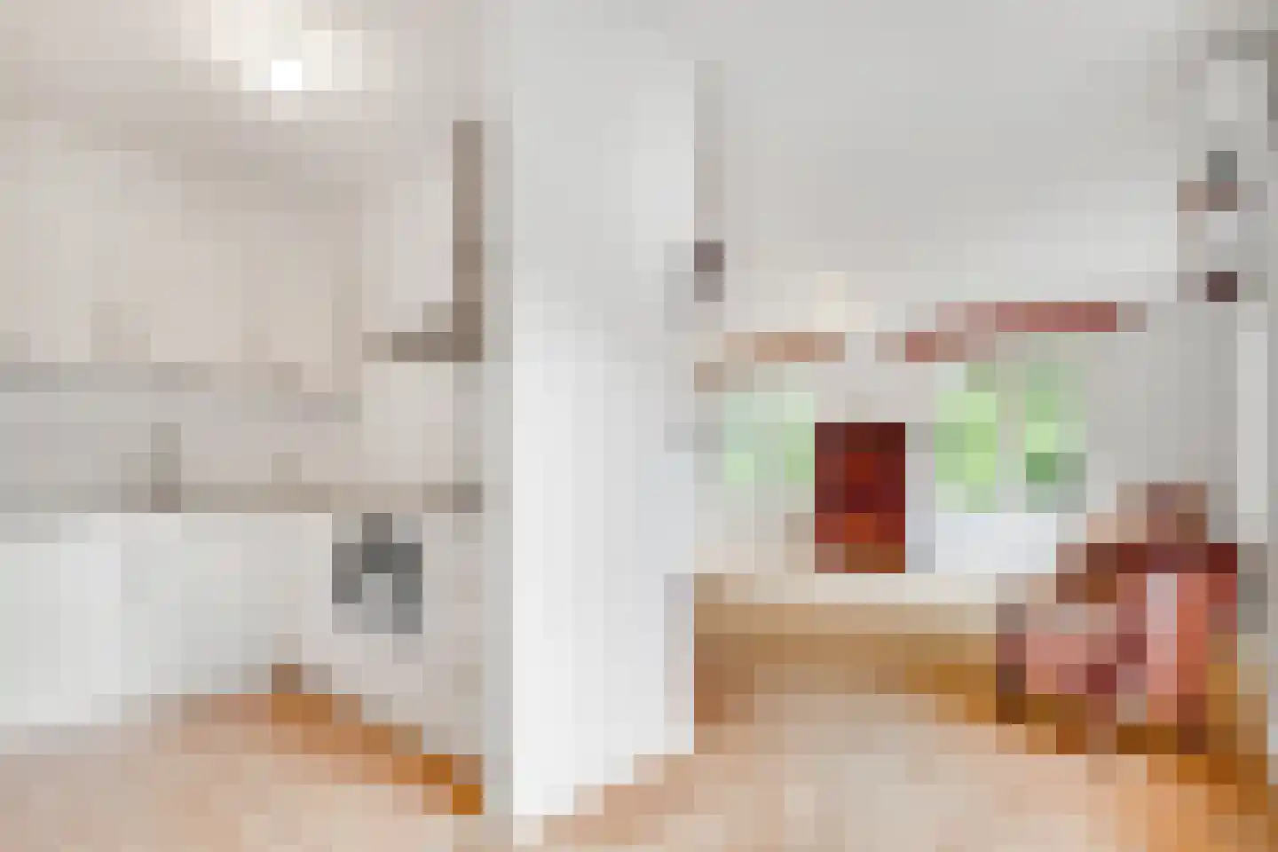 Burg. Van Holthelaan 1 Zeist thumbnail 40