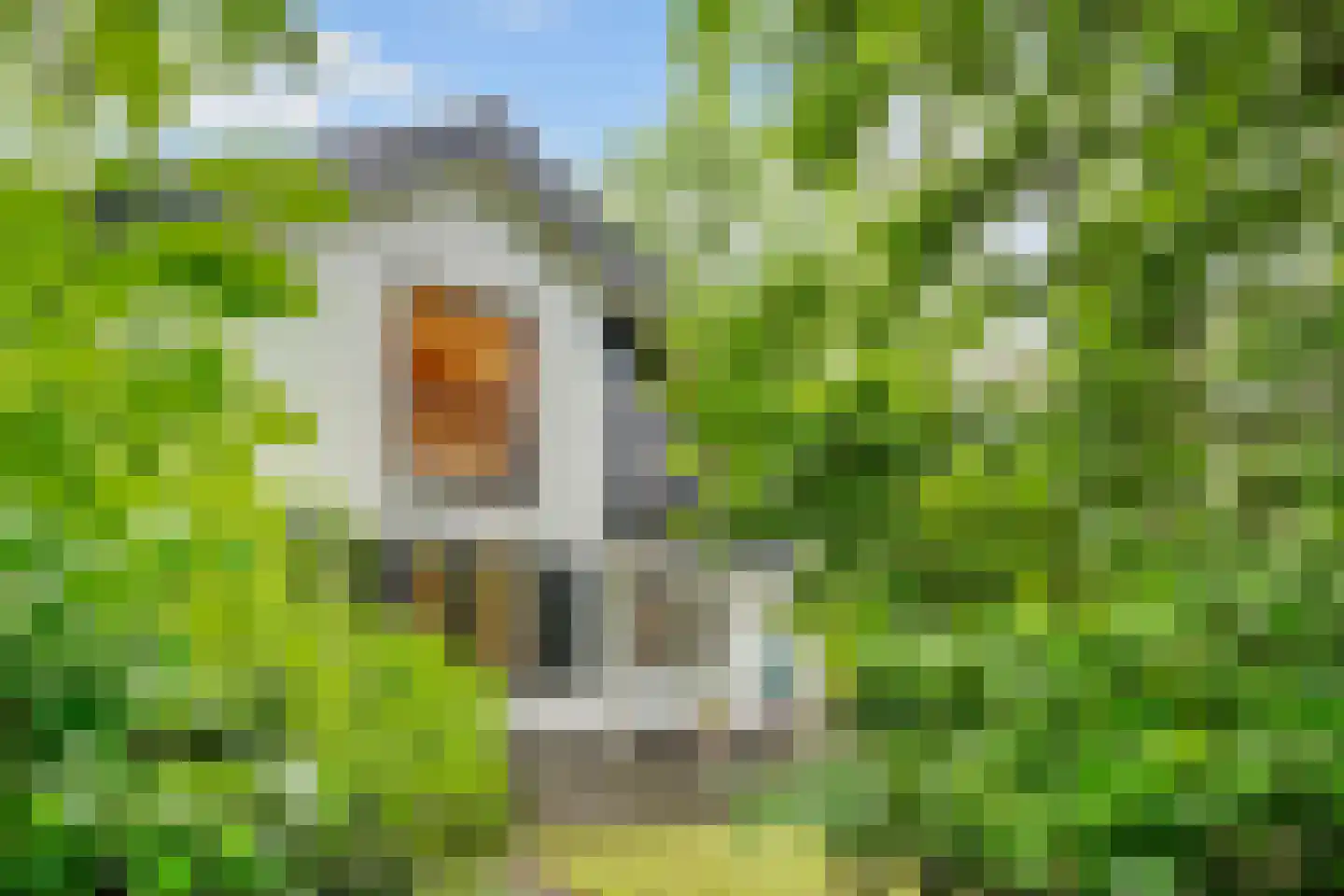 Burg. Van Holthelaan 1 Zeist thumbnail 5